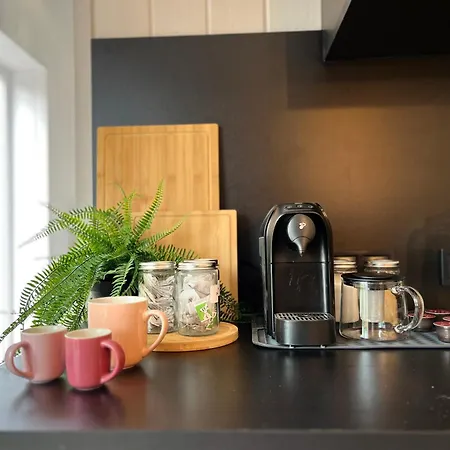 Garden - The Lotus Dom wakacyjny *