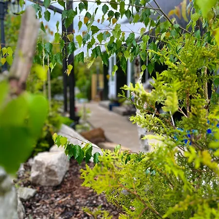 Garden - The Lotus Holiday home *