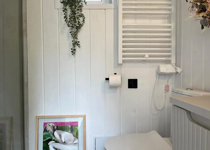 Garden - The Lotus * Drahobudice