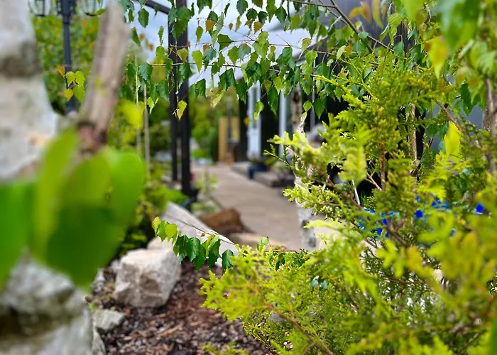 Garden - The Lotus Casa de Férias *
